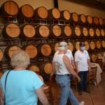SanAntonioWinery_0061 (October 10, 2020)